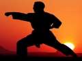 Spill Karate Sunset Warriors online