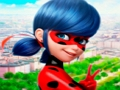 Spill Ladybug Jigsaw Puzzle Collection online