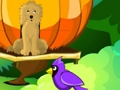 Spill Blossom Garden Escape online