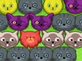 Spill Pop-pop kattunger  online