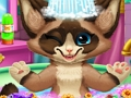Spill Kattungebad  online