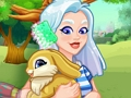 Spill Crystal vedtar en kanin online