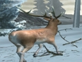 Spill Forestjeger online