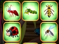 Spill Insekter Bumping Match  online