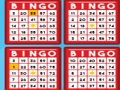 Spill Bingo Bash online