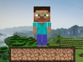 Spill Minecraft overlevelse  online