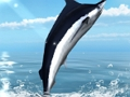 Spill Azure havfiske online