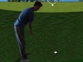 Spill Flash Golf 3D  online