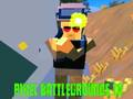 Spill Pixel Battlegrounds. IO  online