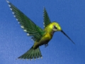 Spill Hummingbird House Escape online