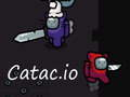 Spill Catac. io  online