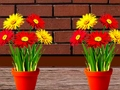 Spill Flower House Escape online