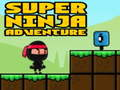 Spill Super eventyr Ninja  online
