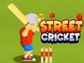 Spill Street cricket online