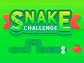 Spill Snake Challenge online