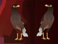 Spill Pekin Duck Escape  online