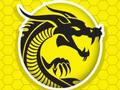 Spill Kung Fu Fury online