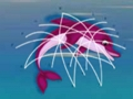 Spill Delfinredning  online