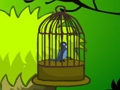 Spill Cage Bird Escape online