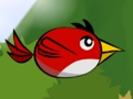 Spill Flapp fuglen  online