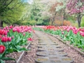 Spill Pathway Jigsaw online