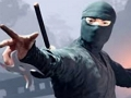 Spill Trykk på Ninja  online