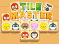 Spill Tile Master Match online