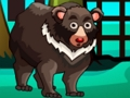 Spill Bear Escape online