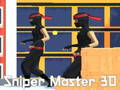 Spill Sniper Master 3d online