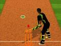 Spill Cricket Batter Challenge online