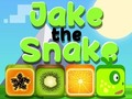 Spill Jake slangen online