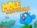 Spill Føflekk den første scavenge online
