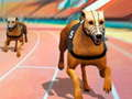Spill Hunder 3D-løp  online