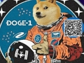 Spill Doge 1 Dash online