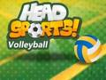 Spill Head Sports Volleyball online