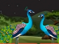 Spill Parrot Escape  online