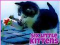 Spill Seks små kattunger  online