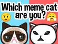 Spill Hvilken memekatt er du?  online