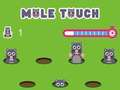 Spill Pole Touch online