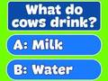Spill Trivia beste familiequiz  online