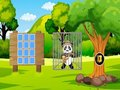 Spill Redd Panda Explorer  online