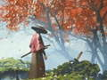 Spill Samurai refleksjon  online