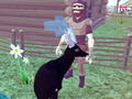 Spill Hjortesimulator 3D online