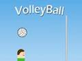 Spill Volleyball online
