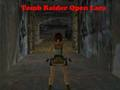 Spill Tomb Raider Åpne Lara  online