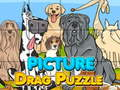 Spill Bilde Dra Puzzle  online