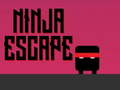 Spill Ninja-flukt  online