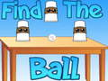 Spill Finn ballen  online