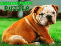 Spill Bulldog Puppy Puzzle online