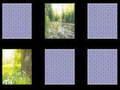 Spill Naturminne  online